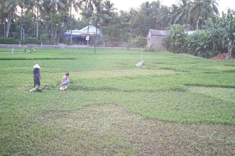 Hoi An 16.jpg